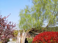 -石塘人家