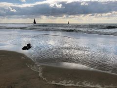 -海云台海滩