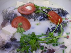 -全乐鱼馆·淳牌有机鱼直营店