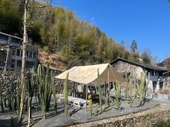 -MOJ coffee(瓯海泽雅水碓坑店)