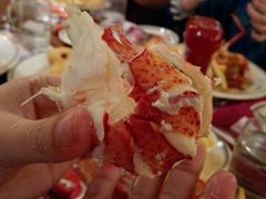 boiled medium lobster-Union Oyster House