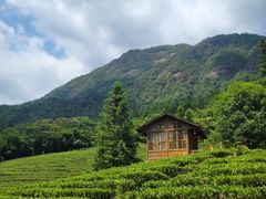 -姑婆山旅游区