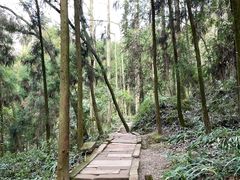-青城山