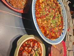 -新概念来凤鱼(璧山店)