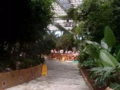 android_upload_pic-龙达温泉生态城