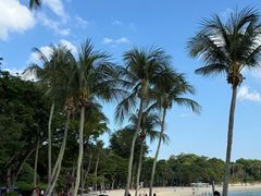 -巴拉湾海滩