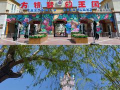 -青岛方特梦幻王国