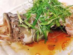 香葱蒸桂鱼-朱仔记食府(江南大道店)