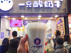 -一只酸奶牛(八一路店)