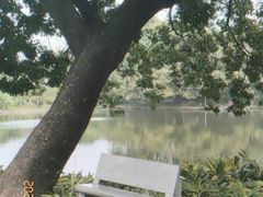 -晓港公园