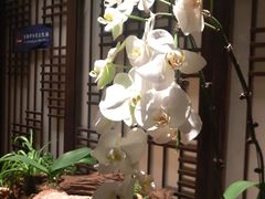 -余欢领鲜火锅(新街口店)