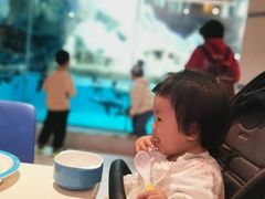 -帝企鹅自助餐厅•儿童岛•真企鹅(长隆企鹅酒店)