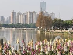 -顺峰山公园
