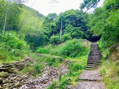 -龙坞茶村