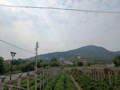 -济南马套将军山