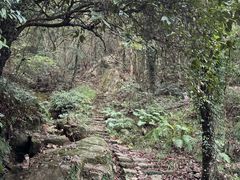 -普陀山风景名胜区-法雨禅寺