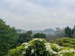 -云龙山