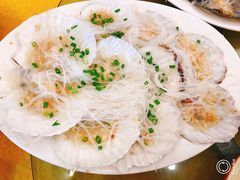 -鸿达渔港