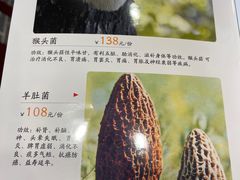 -生宇山珍野生菌汤锅•始于1999(双流古塔店)