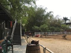 -青瓦房古村落
