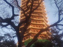-博雅塔