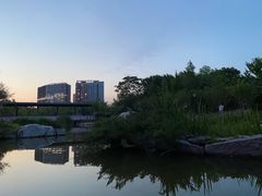 -大望京公园