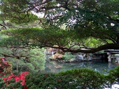 -京都御所