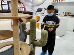 -喵园·猫主题咖啡厅·撸猫·猫咖(国贸店)