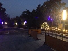 -上海崇明金茂凯悦酒店