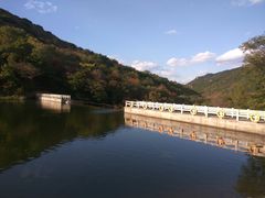 -龙道沟景区