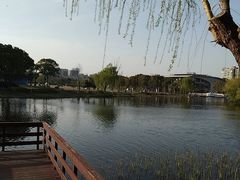 -新江湾城公园