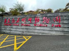 -青藏高原野生动物园