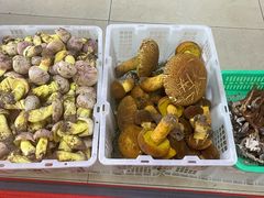 -双喜农庄·菌香园(安居家园店)