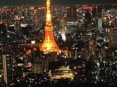 -六本木新城展望台(东京城市景观)
