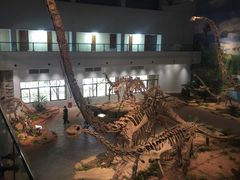 -自贡恐龙博物馆