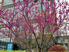 -海上海弘基休闲广场