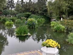 -圩墩遗址公园