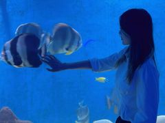 -合肥海洋世界