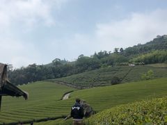 -优游吧斯邹族文化部落