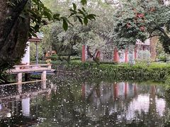 -广州兰圃