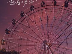 -花博汇(知音花月夜)