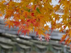 -天龙寺