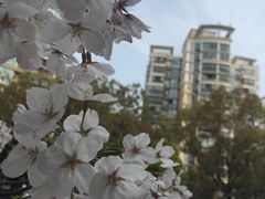 -证大喜玛拉雅中心