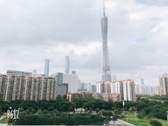 -小茶闲舍·观景商务茶馆(广州塔店)