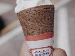 -富豪雪糕车流动点(尖沙咀店)