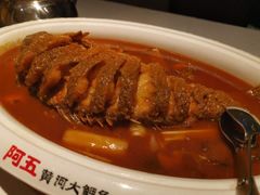 -阿五黄河大鲤鱼(英协路店)