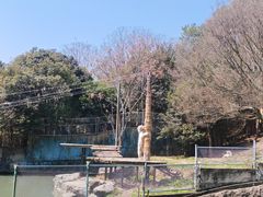 -宁波野生动物园