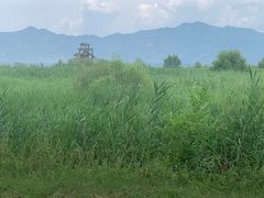 -野鸭湖国家湿地公园