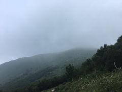 -灵山