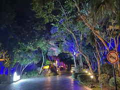 -三亚亚龙湾人间天堂鸟巢度假村